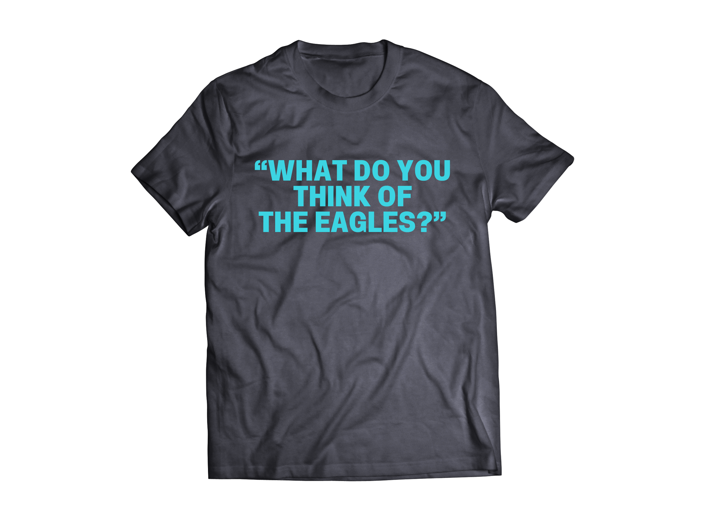 BRET EASTON ELLIS: WHAT DO YOU THINK OF THE EAGLES? GREY T-SHIRT – Atom  Age Industries