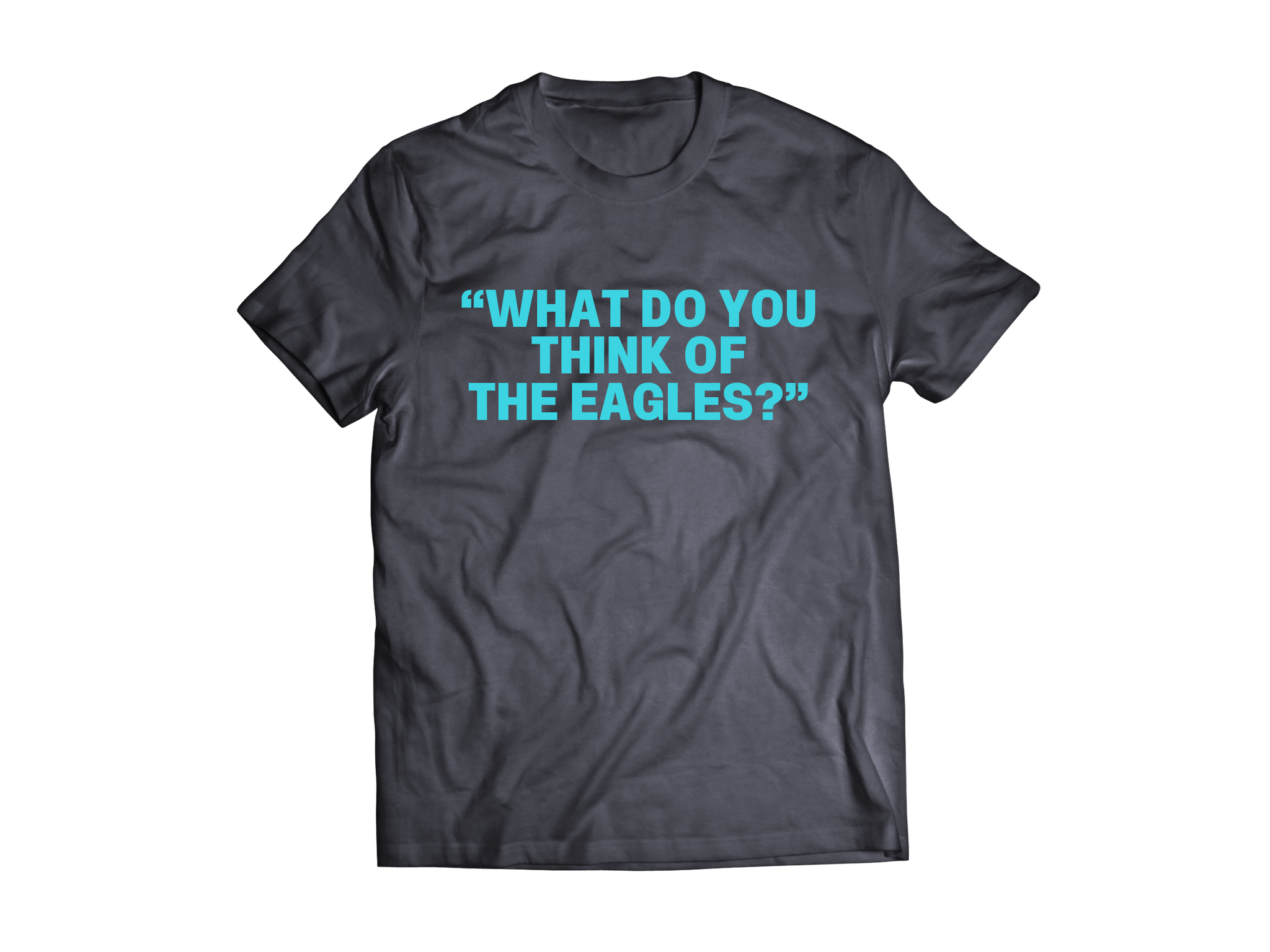 BRET EASTON ELLIS: "WHAT DO YOU THINK OF THE EAGLES?" GREY T-SHIRT